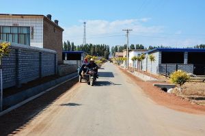 大雙廟鎮 大雙廟鎮