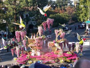 玫瑰花車大遊行