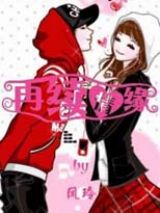 《再續情緣》 《再續情緣》