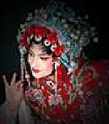 司徒慧聰 司徒慧聰