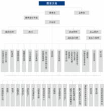 武漢鋼鐵股份有限公司