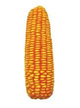 晉單70號 晉單70號