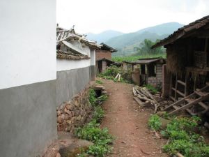 刷主箐村 刷主箐村