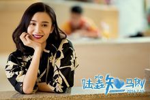 電影-陸垚知馬俐(26張)電視劇-少帥陸垚知馬俐  劇照