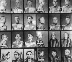 奧斯維辛集中營檔案室中部分遇難者照片