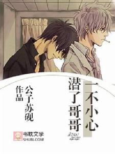 一不小心潛了哥哥 一不小心潛了哥哥