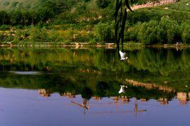 雁鳴湖濕地生態公園 雁鳴湖濕地生態公園