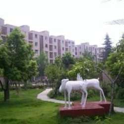 崮二小區 崮二小區