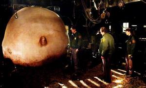 （圖）《撕裂人》