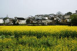 黟縣美溪 黟縣美溪