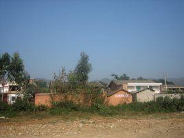 小梅花村 小梅花村