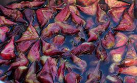 菱角[水生植物]