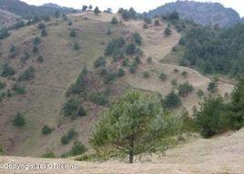 鹿林山自然公園 鹿林山自然公園