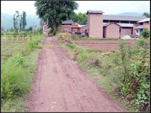 董和沙河村 董和沙河村