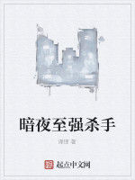 暗夜至強殺手 暗夜至強殺手