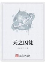 天之囚徒