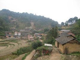 楊柳沖自然村 楊柳沖自然村