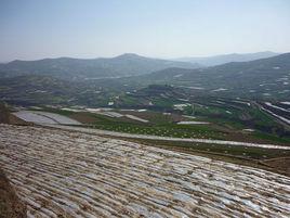 八里灣鄉[甘肅省天水市甘谷縣下轄鄉]