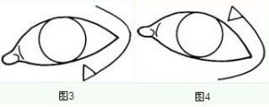 圖3、4