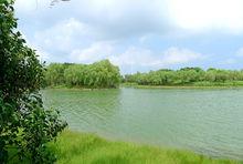 鹽城大縱湖旅遊度假區高清組圖80張