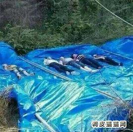 汕頭潮陽區金灶鎮新林水庫7人溺水事故 汕頭潮陽區金灶鎮新林水庫7人溺水事故