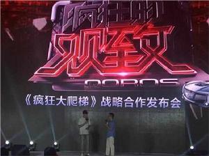 瘋狂的觀致 瘋狂的觀致