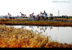 大慶油田採油區