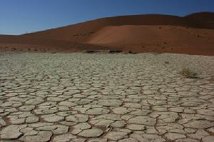 （圖）納米比沙漠