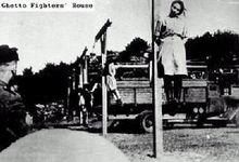 被她迫害的女囚