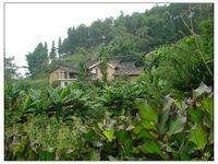 滾塘自然村 滾塘自然村