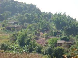 南等自然村 南等自然村