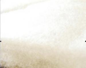 航天ATMC棉 航天ATMC棉