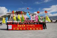 西藏電力公司 西藏電力公司