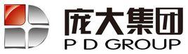 龐大汽貿集團股份有限公司 龐大汽貿集團股份有限公司