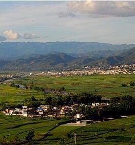 雙江農場 雙江農場