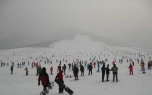 金鼎湖旅遊區滑雪場 金鼎湖旅遊區滑雪場