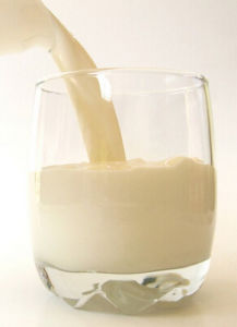 全脂奶粉 全脂奶粉