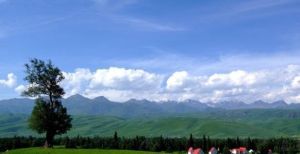 阿克塔斯避暑山莊 阿克塔斯避暑山莊