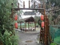 童趣園開心農場