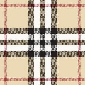 巴寶莉[一款英國奢侈品品牌]