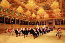 飛馬水城（海瀾國際馬術俱樂部） 