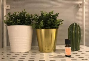 單方精油 單方精油