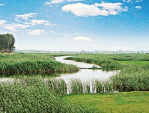 壺流河濕地省級自然保護區 壺流河濕地省級自然保護區