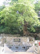 興隆街道斗母宮