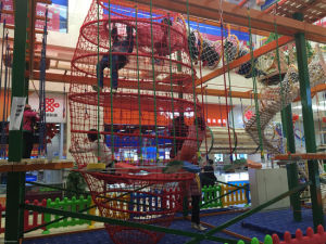 熊孩子兒童拓展俱樂部 熊孩子兒童拓展俱樂部