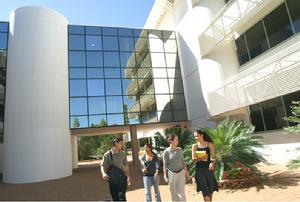 查爾斯達爾文大學