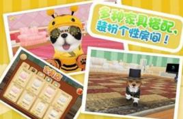 心動小狗 心動小狗