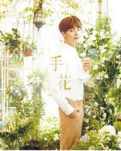 手花[馬天宇演唱歌曲]