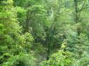 南林森林自然保護區