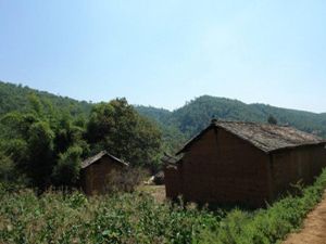 團團河村 團團河村